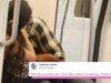 Someone Tried To Shame A Couple Making Out In Delhi Metro, Twitter Rose To Defend Love!