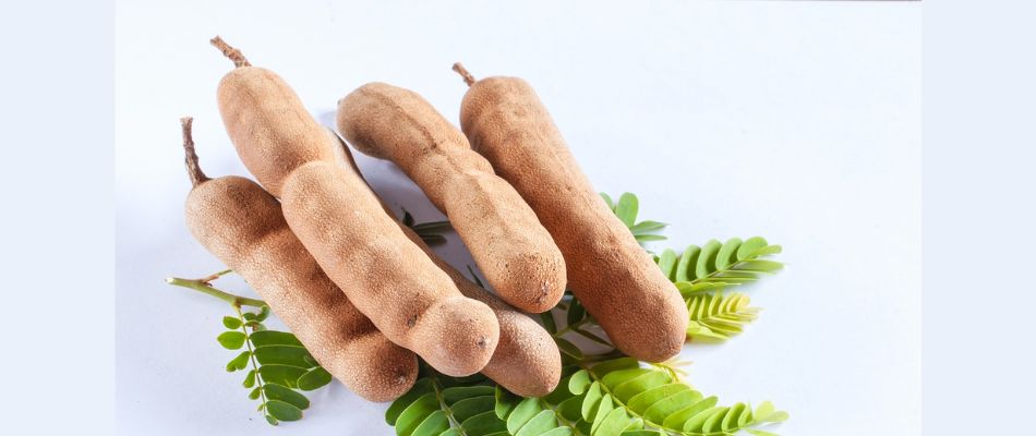 Tomato-Price-hike-best-alternatives-you-can-use-making-dishes-kokum-tamarind