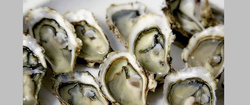 glowing-skin-secret-superfoods-by-Beauty- Expert-Shahnaz-Husain
