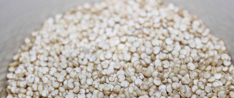 glowing-skin-secret-superfoods-by-Beauty- Expert-Shahnaz-Husain
