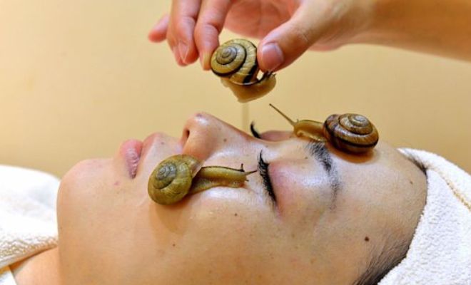 Most-Weird-Bizzarre-Beauty-Treatments-Snail-Facial-Snake-Massage-semen-hair-mask