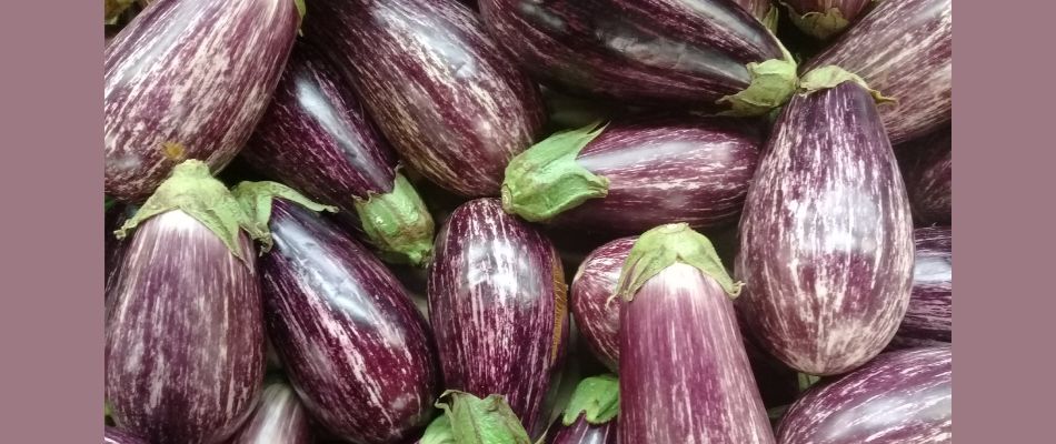 Jackie-Shroff-special-baingan-ka-bharta-easy-recipe-viral-video-eggplant