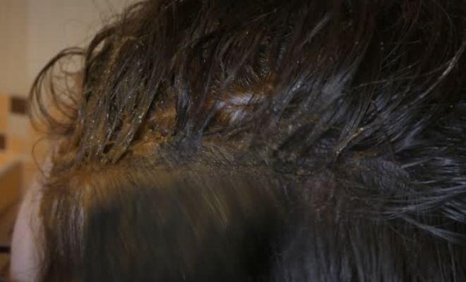 Henna-Hair-Mask-Cons-Dry-Hair-Brittle-Ends-Beauty-Experts-Avoid-It
