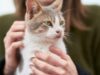 5 Important Lessons About Consent Humans Must Learn From Cats!