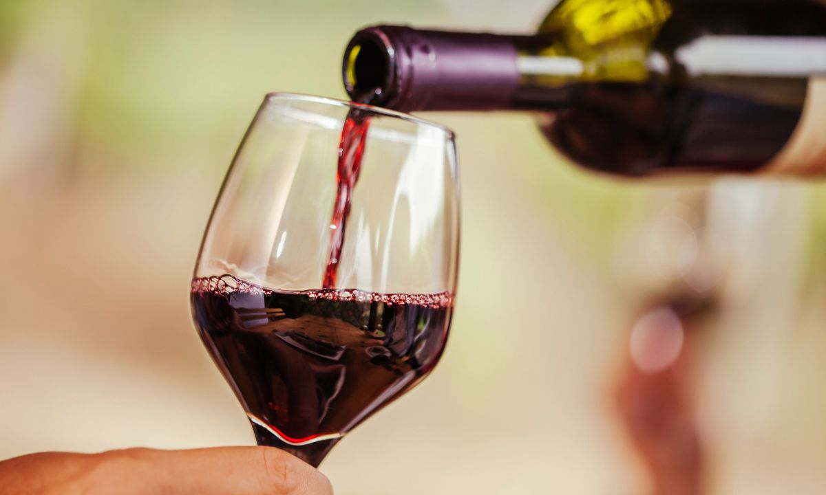 national-wine-day-6-etiquette-grapes-ferment-drink-alcohol-connoisseurs-pro