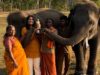 The Elephant Whisperers’ Bomman Says “Don’t Know Who Sent The Legal Notice To Kartiki, Sikhya Entertainment”