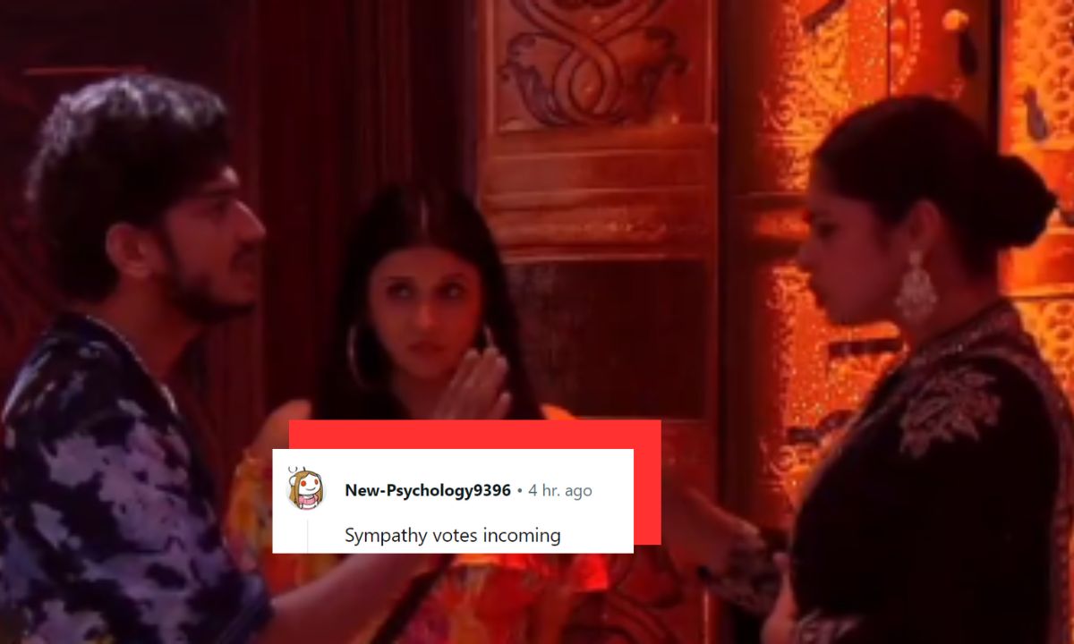 bigg-boss-17-reddit-mocks-munawar-faruqui-ayesha-khan-cheating-double-dating-victim-card-sarcastic