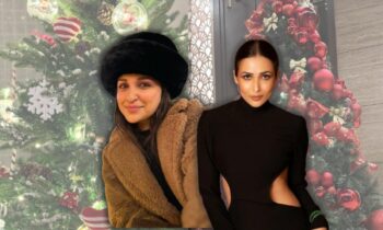 christmas-decoration-idea-tree-decor-celebrities-priyanka-chopra-shweta-tiwari-parineeti