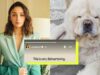 Alia Bhatt Feels ‘Very Disheartened’ After Culprits Of The Viral Dog Assault Case Flee Without Punishment