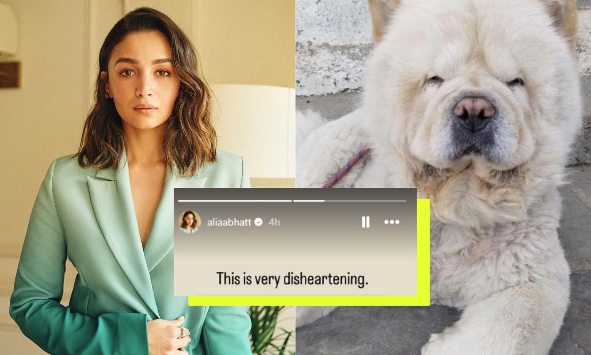 Alia Bhatt Feels ‘Very Disheartened’ After Culprits Of The Viral Dog Assault Case Flee Without Punishment