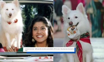 reddit-shares-hilarious-stories-about-tuffy-from-hum-aapke-hain-koun-salman-khan-madhuri-dixit-renuka-shahane-stairs