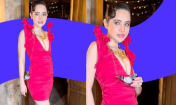 uorfi-javed-pigeon-bag-sling-pink-dress-quirky-pictures