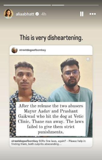 Alia-Bhatt-Speaks-Out-On-Viral-Dog-Assualt-Case-Disheartened-Culprits-Escaping-Punishment-Thane