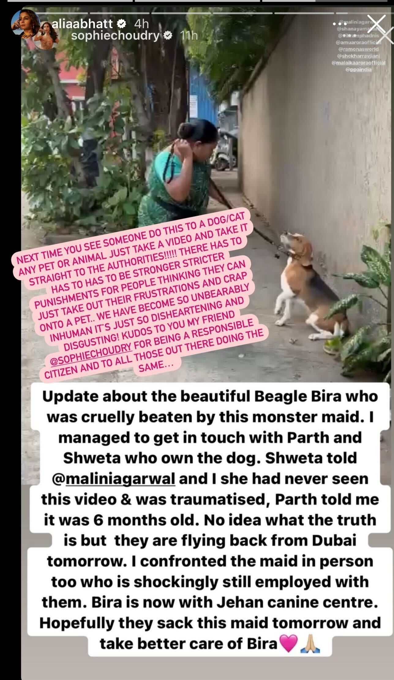 Alia-Bhatt-Raises-Awareness-Animal-Abuse-Re-Shares-Sophie-Choudry-Post-Dogs-Beaten-By-Maid 