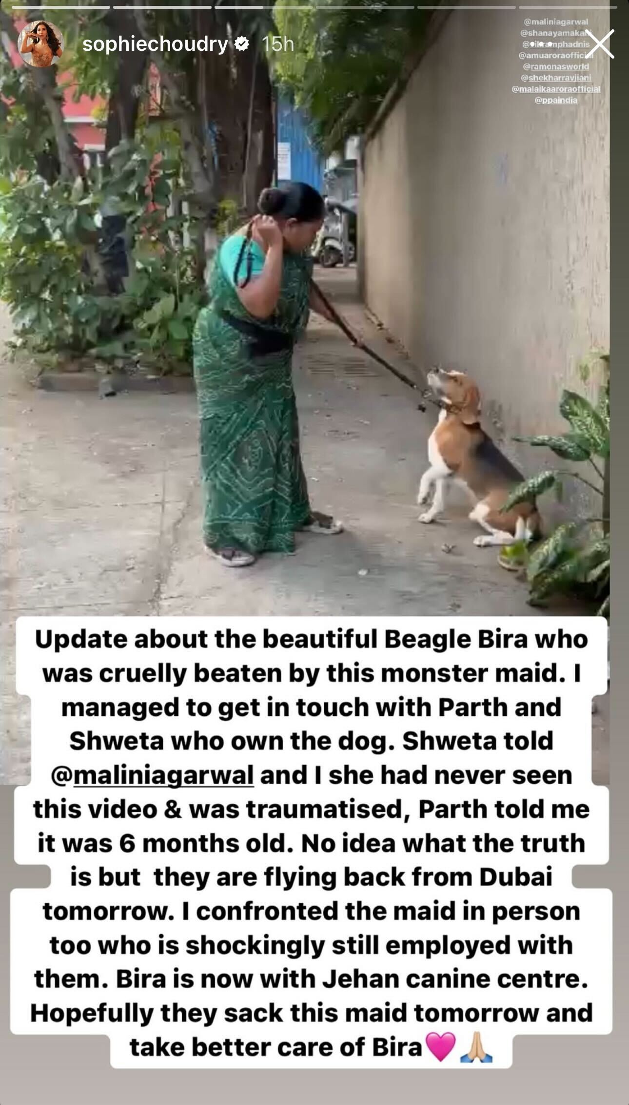 Alia-Bhatt-Raises-Awareness-Animal-Abuse-Re-Shares-Sophie-Choudry-Post-Dogs-Beaten-By-Maid 