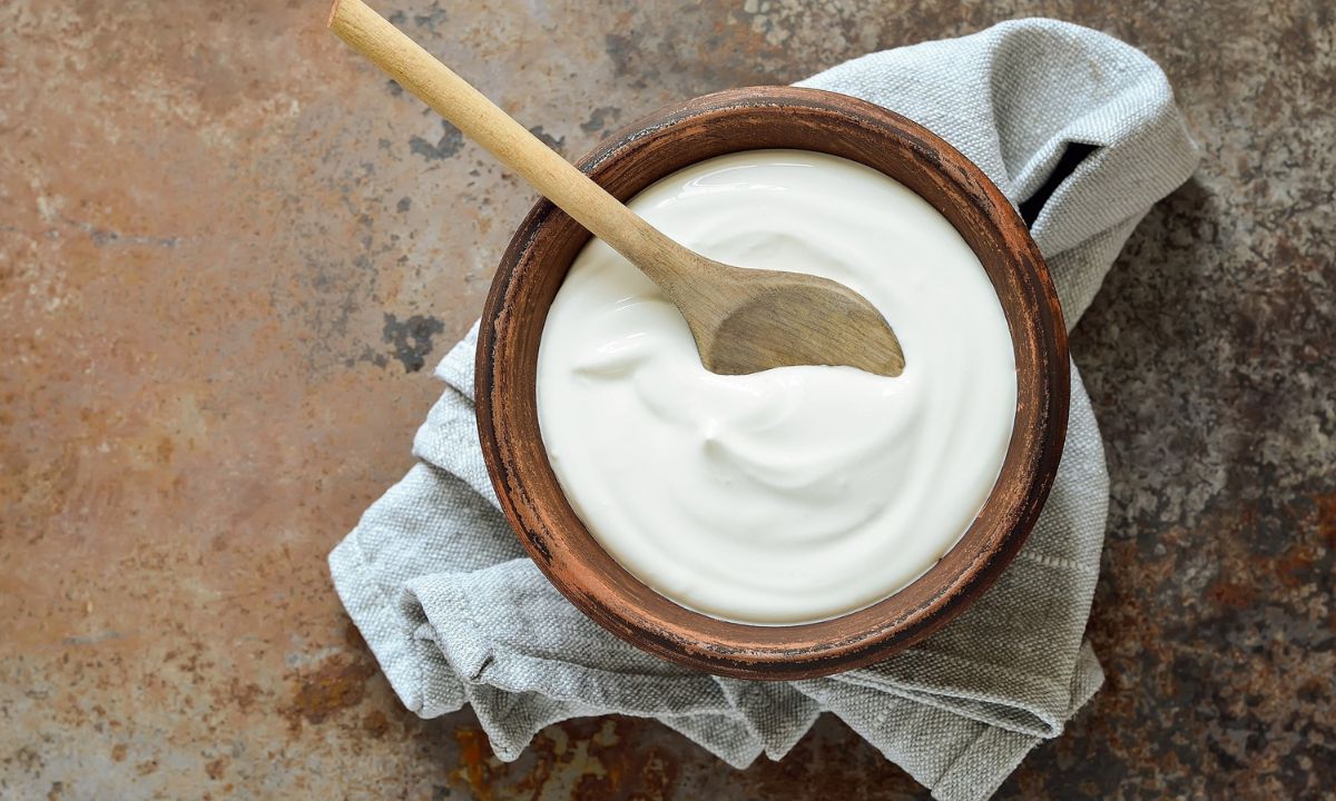 Benefits Of Curd And Sugar: 5 Things To Know Before Having Curd And Sugar In The Morning Benefits Of Curd And Sugar: 5 Things To Know Before Having Curd And Sugar In The Morning