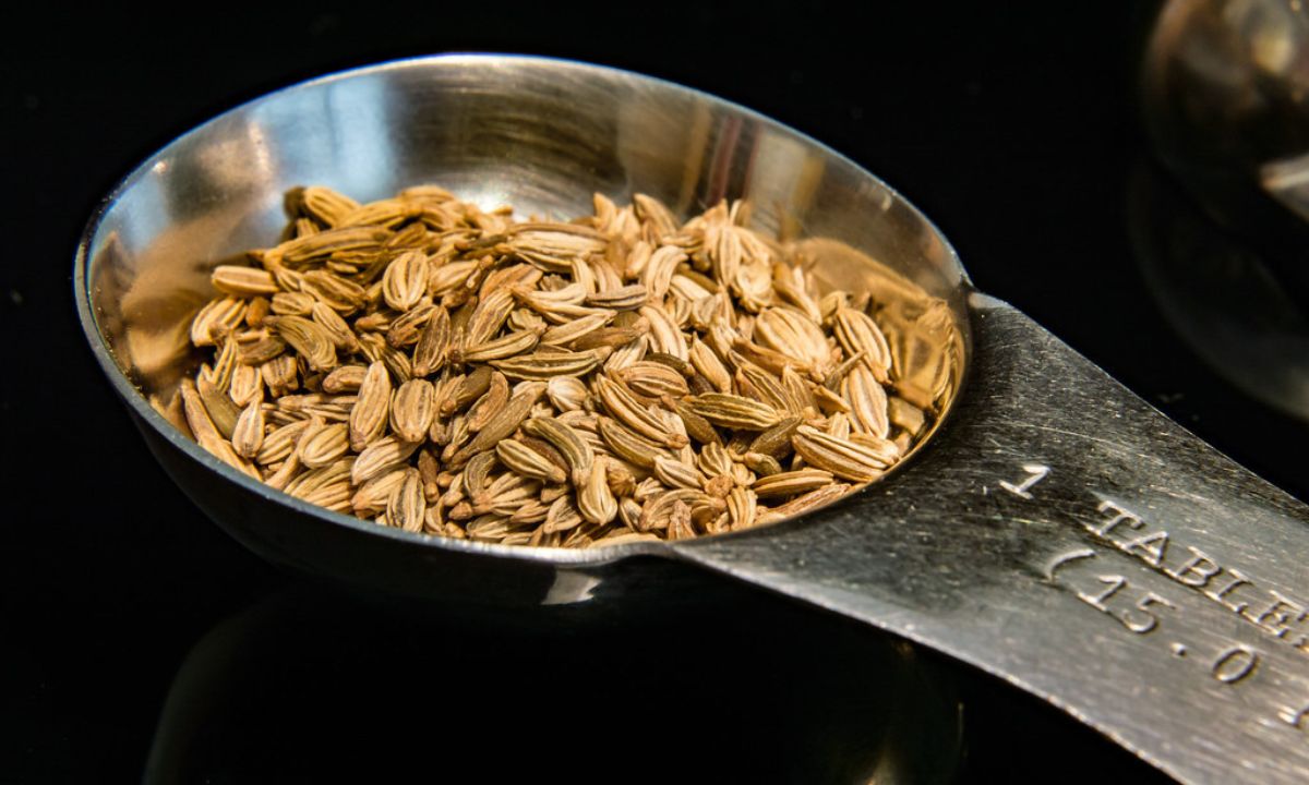 Fennel Water Benefits 10 Reasons Why Drinking Fennel Water In The