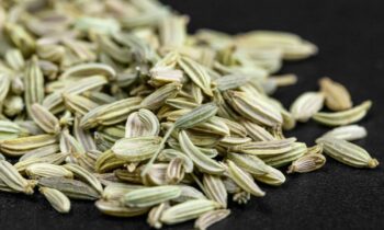 benefits-fennel-water-morning-health-wellness-fitness-diet