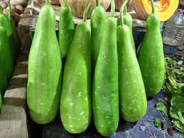side-effects-bottle-guard-lauki-juice-health-and-wellness