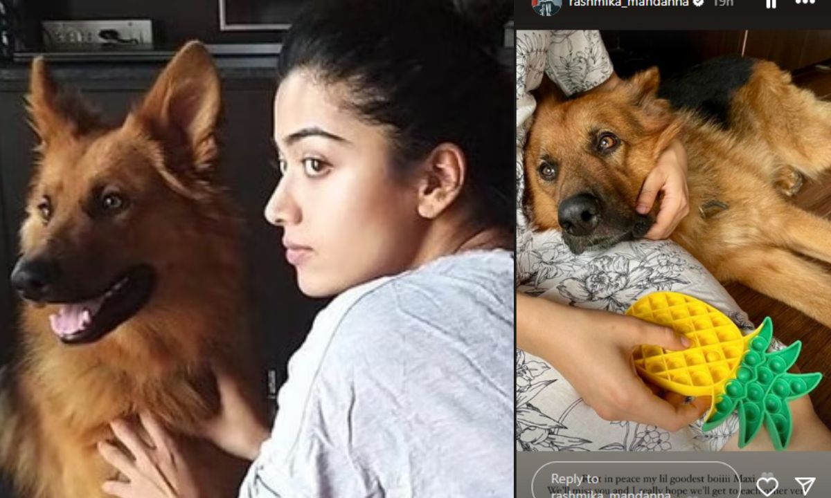 Rashmika Mandanna Mourns Death Of Pet Dog Maxi: “I Hope We Get To Meet Each Other…” Rashmika Mandanna Mourns Death Of Pet Dog Maxi: “I Hope We Get To Meet Each Other…”