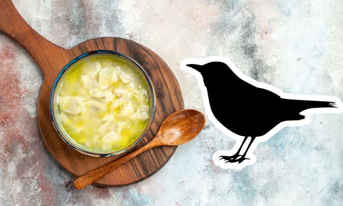 What Is Bird Saliva Nest Soup, The New Skincare Trend That Has Grossed Us Out?