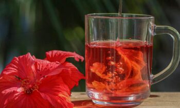 Hibiscus Tea Benefits