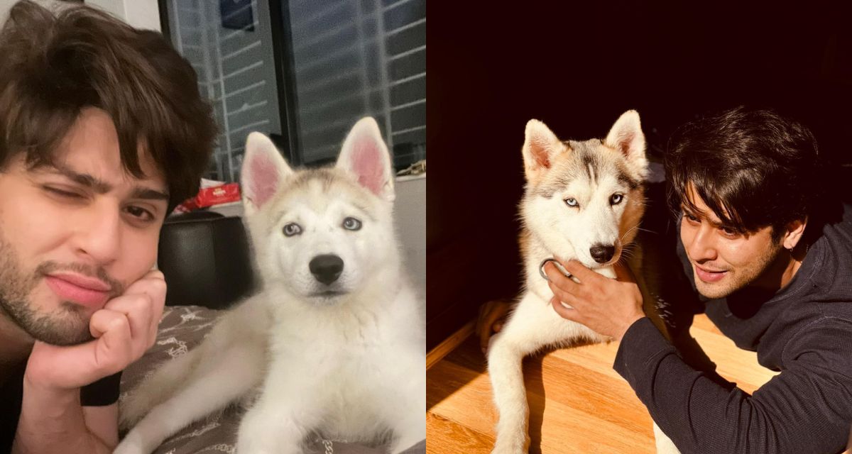 7 Times Jibraan Khan Was The Cutest Dog Parent Ever. We Can’t Stop Staring!