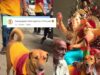Internet Is Obsessed With Viral Video Of Dog Joining Ganpati Celebrations In Mumbai