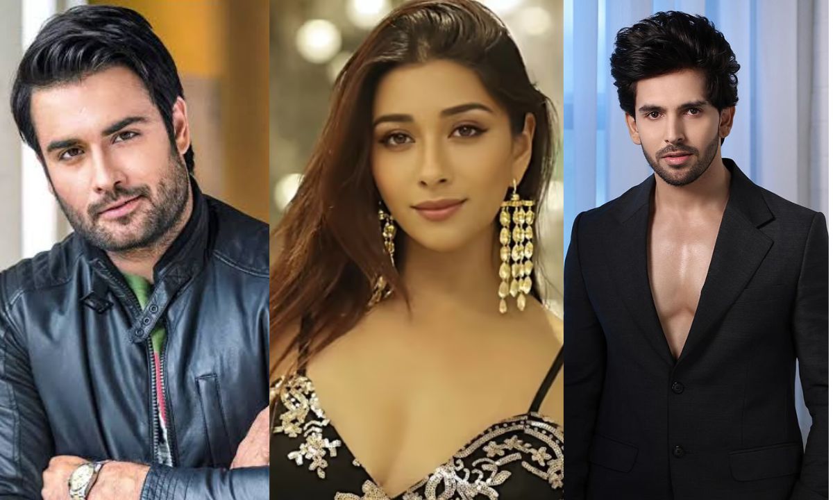 From Vivian Dsena To Shehzada Dhami, Meet The Contestants Of Bigg Boss 18! From Vivian Dsena To Shehzada Dhami, Meet The Contestants Of Bigg Boss 18!