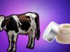 What Is Beef Tallow And Why Are People Using It In Their Skincare Routines?