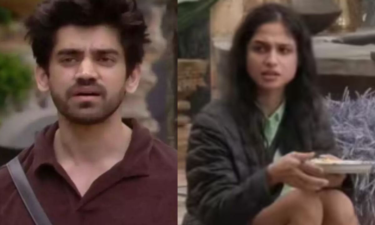 bigg-boss-18-fights-for-no-reason-avinash-mishra-vivian-dsena