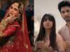 From Heeramandi: The Diamond Bazaar To Mismatched Season 3, Top Web Series Released On Netflix In 2024!