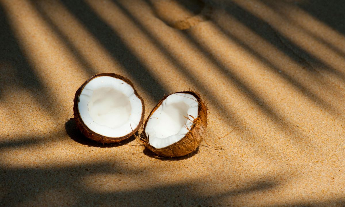 5-benefits-of-coconut-malai-energy-boost-good-fats-fibre-blood-sugar-level-check