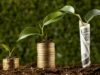 From Money Tree To Aloe Vera: 5 Plants for Attracting Wealth And Success