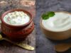 Are Curd And Yogurt The Same Thing? Here’s What You Should Know