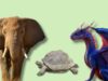 8 Animals That Bring Positive Energy In Your Life