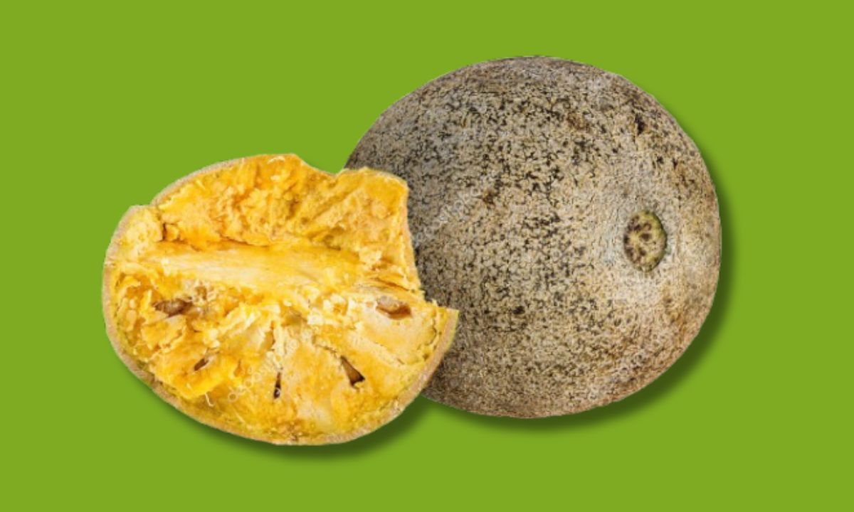 Drinking Bael Aka Wood Apple Juice In Summer Can Give You THESE 5 Benefits