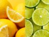 4 Key Differences Between Lemon And Lime You Need To Know About