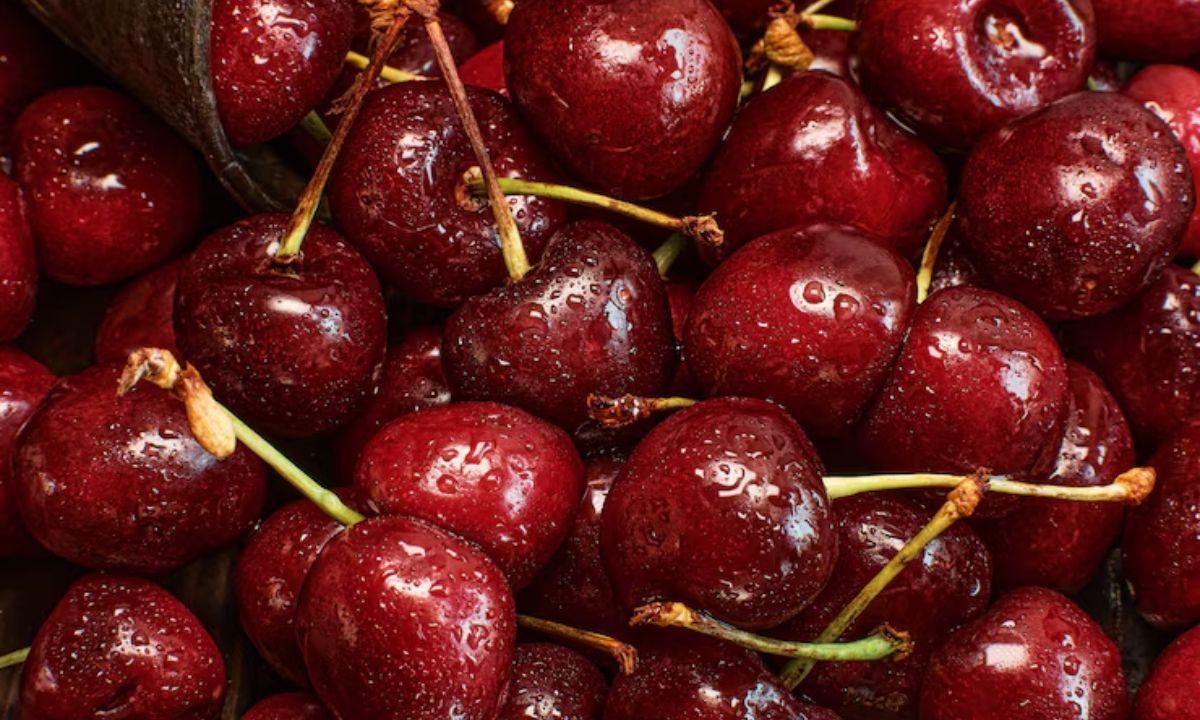 Cherries Health Benefits: 5 Reasons Why Cherries Are A Must-Have Fruit In Summer Season