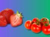 From Strawberry To Guava, 5 Fruits To Grow In Balcony Garden