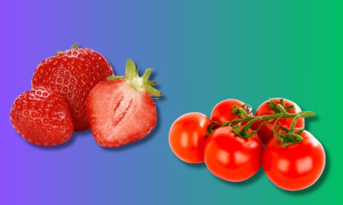 From Strawberry To Guava, 5 Fruits To Grow In Balcony Garden
