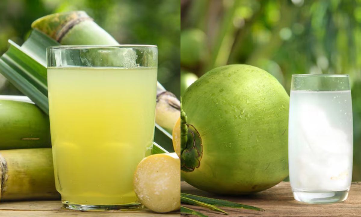 Sugarcane Juice Or Coconut Water, Which Is The Best Drink To Have In Summer? Details Inside!