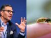 Sunjay Kapur Allegedly Died After Swallowing A Bee, Here Is How A Bee Sting Can Trigger Heart Attack