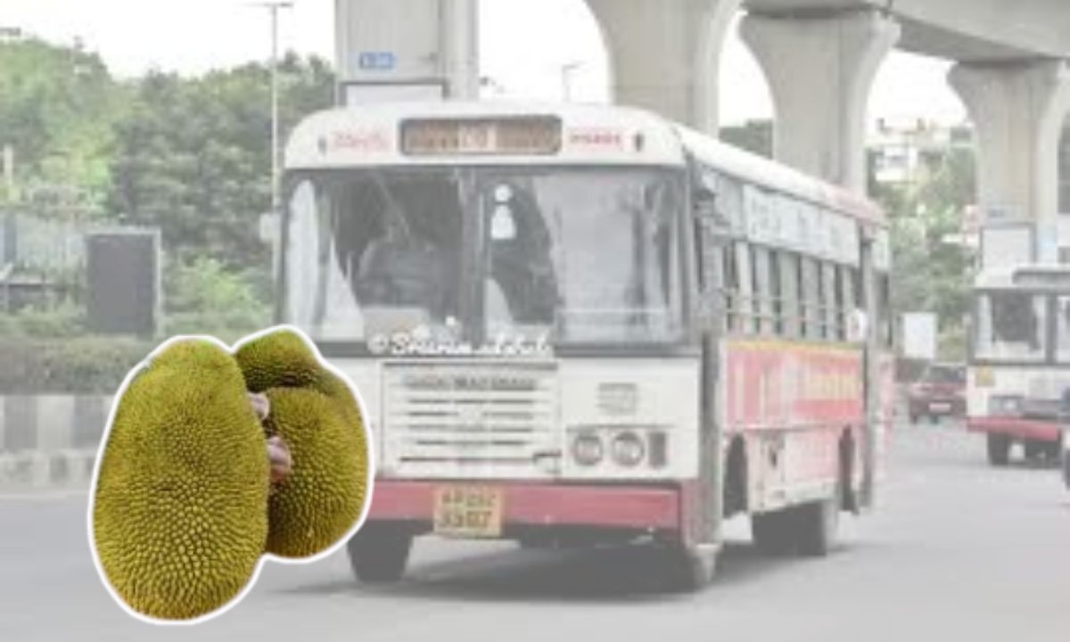 Kerala Driver Found Drunk On Jackfruit? Know The Real Truth Behind This Bizarre Incident!