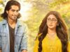 Will Bade Acche Lagte Hai S4 Ft. Shivangi Joshi, Harshad Chopda Go Off Air? Here’s What We Know