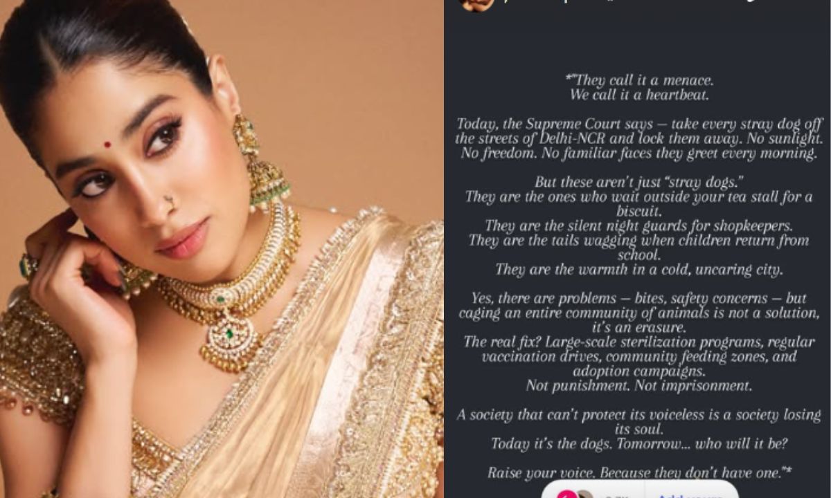 celebrs-reacted-to-stray-dog-supreme-court-ruling-john-abraham-janhvi-kapoor