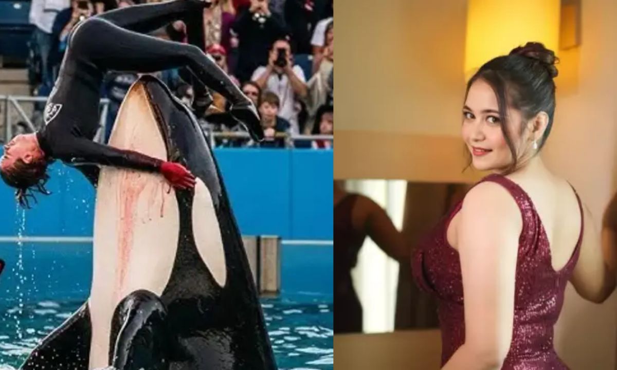 From Jessica Radcliff To BabyDoll Archi, 4 Times AI-Generated Videos Went Viral. How To Catch Them! From Jessica Radcliff To BabyDoll Archi, 4 Times AI-Generated Videos Went Viral. How To Catch Them!