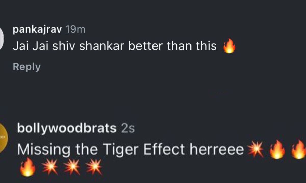 netizens-miss-tiger-shroff-jai-jai-shivshankar-after-janaab-e-ali-hrithik-roshan-jr-ntr