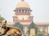 Stray Dogs Allowed Back After Vaccination As Per New Supreme Court Order, Here’s What Is Prohibited!