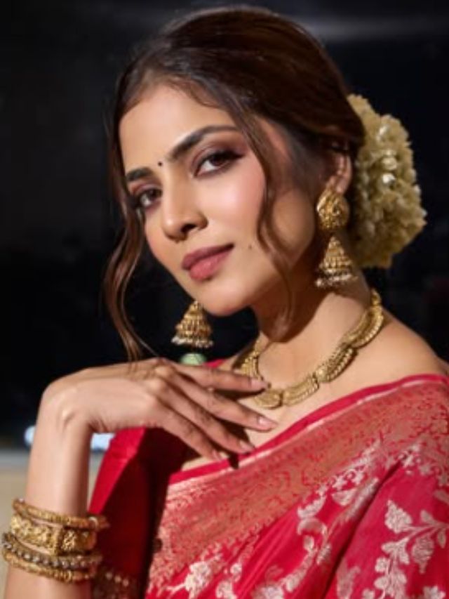 9 Quick Hairstyle For This Festive Season Ft Malavika Mohanan!